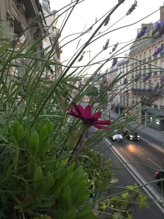 A Room In Paris