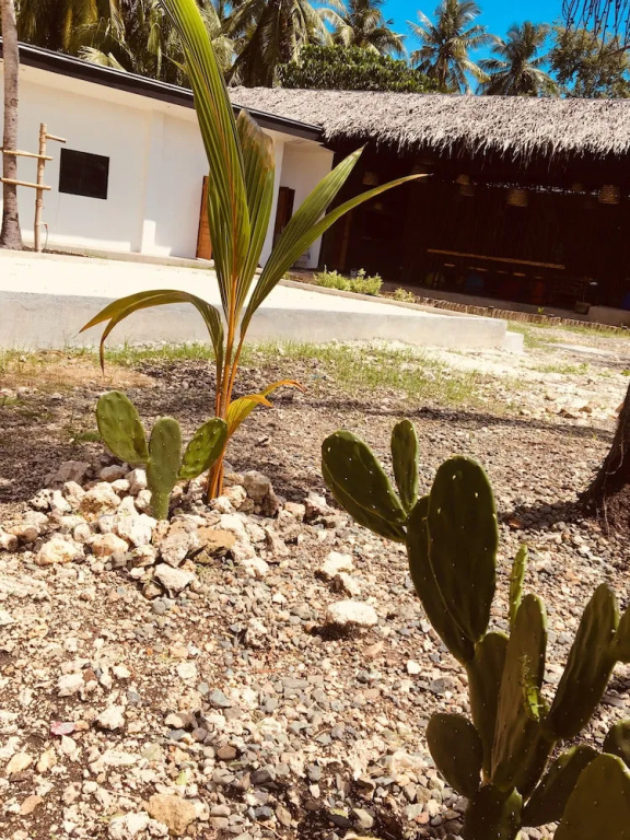 Maayong Hostel