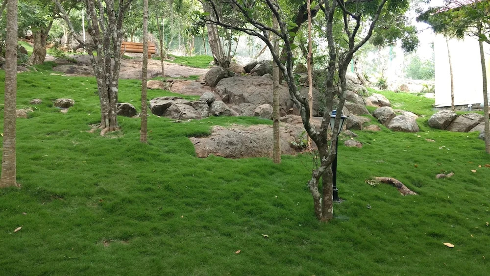 The Brook - Resorts & Spa - Yercaud - фото 34