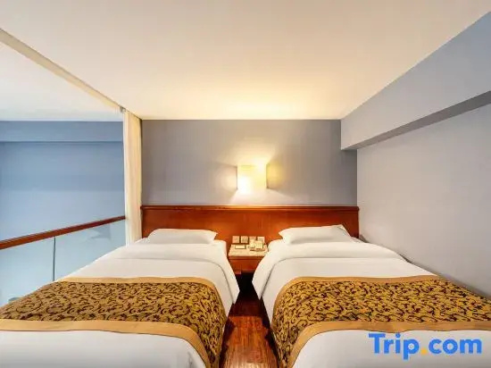 Standard Double room (twin beds)