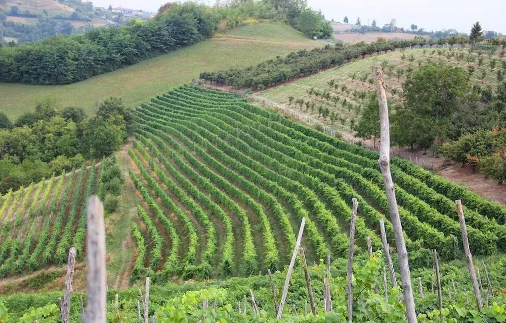 Agriturismo I Galli