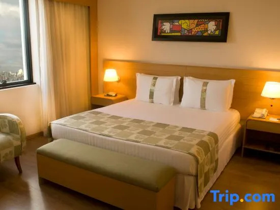 Holiday Inn Sao Paulo Parque Anhembi by IHG - Chambres
