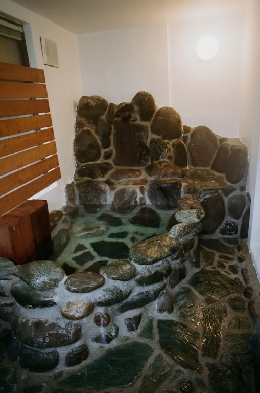 Hakonowa Hot spring inn 사진 3