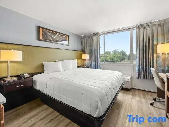 Standard Single room (single bed)