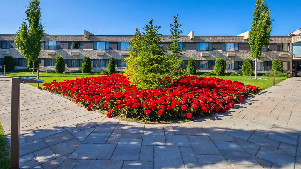 Best Western Plus University Inn - фото 27
