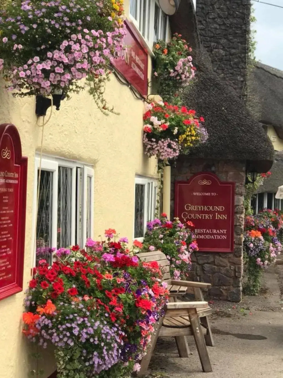 Greyhound Country Inn