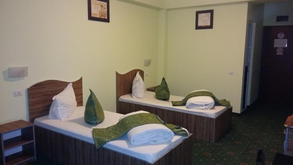Standard Double room (twin beds)