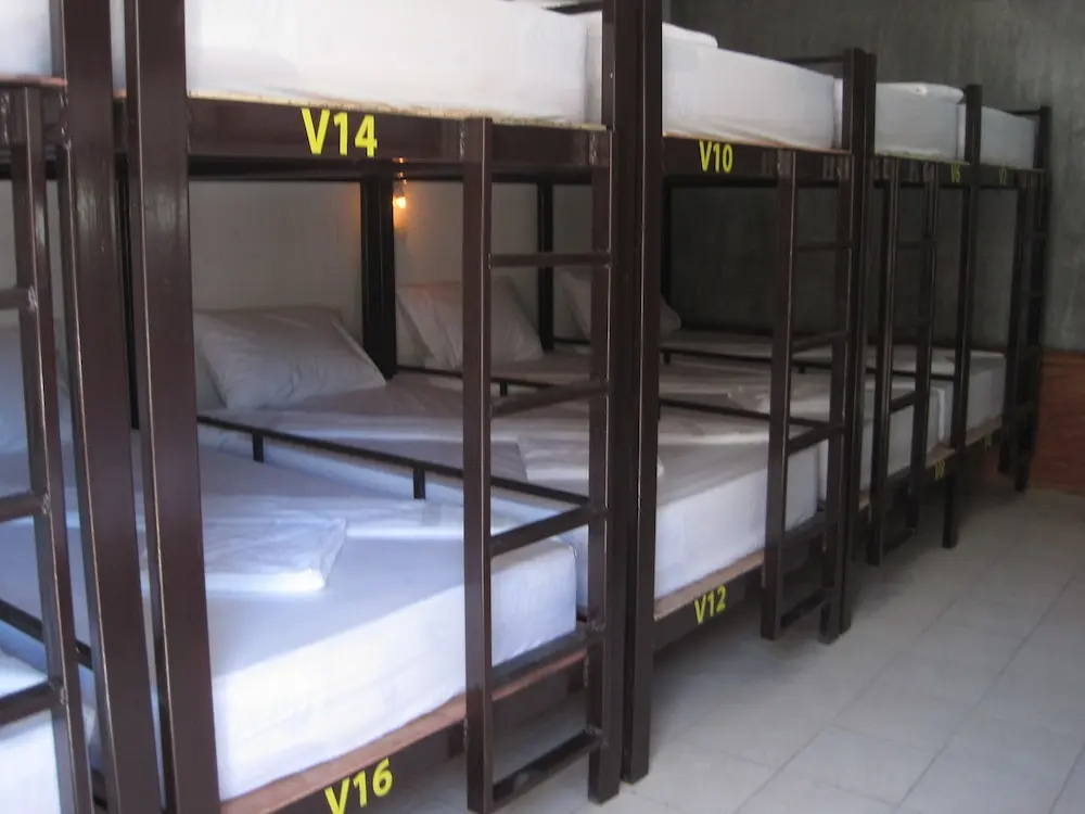 Bed in Dorm