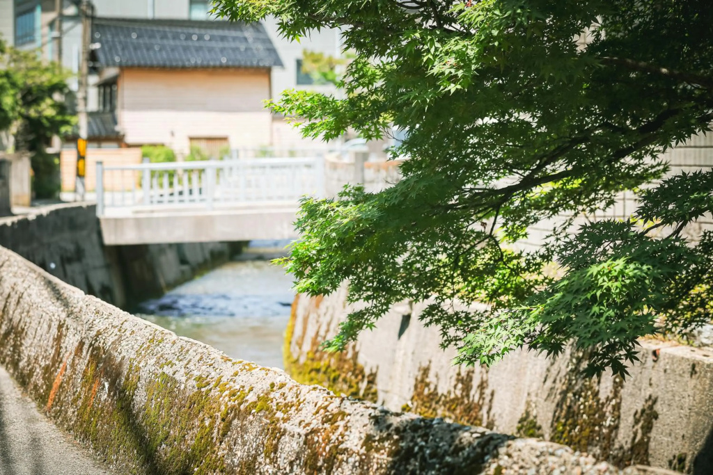 Ibaragi House in Kanazawa 사진 12