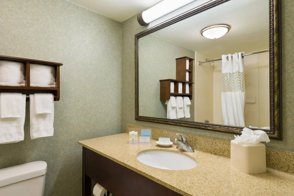 Hampton Inn - Atlanta Perimeter Center - фото 7
