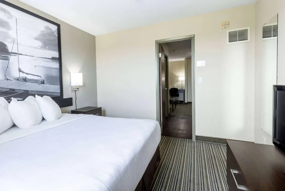 1 Bedroom Suite