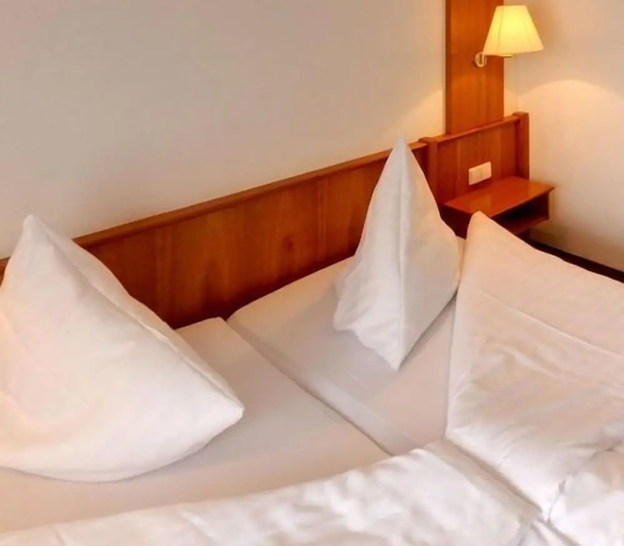 Hotel Blume - Général