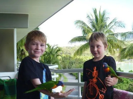 Frangipani Beachfront Lodge 208 on Hamilton Island by HamoRent