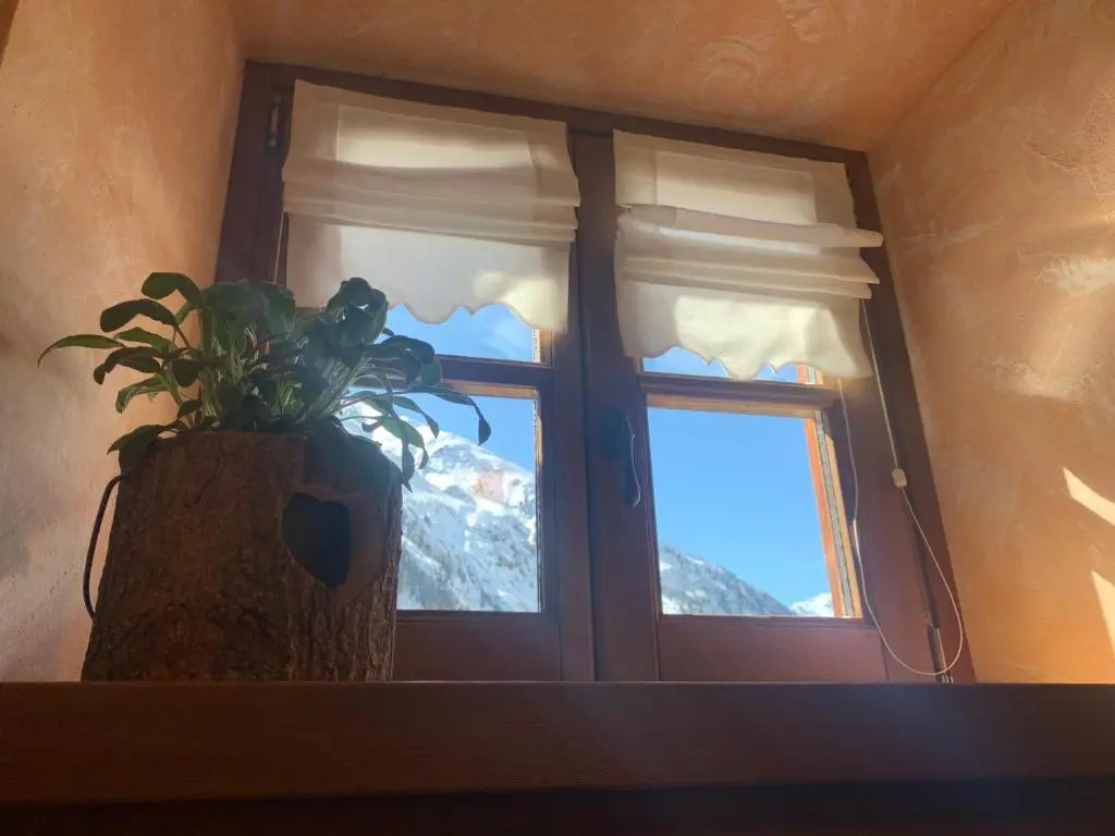 Apartment with mountain view