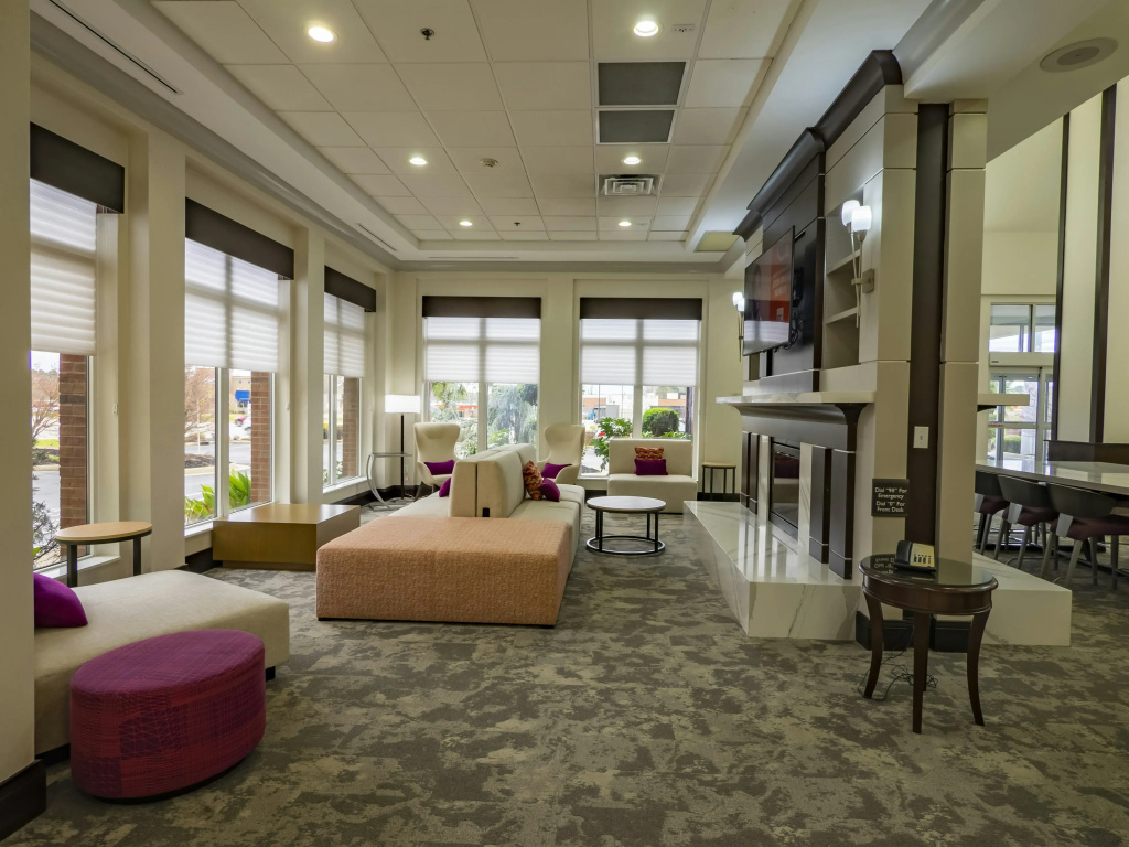 Hilton Garden Inn Atlanta South/McDonough - Général