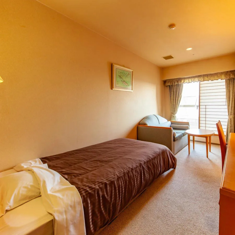 Western-Style Single room
