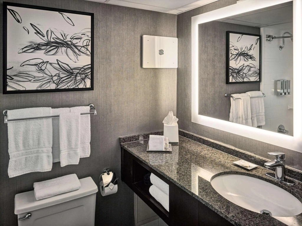 Sonesta Atlanta Northwest Galleria - Marietta - Général