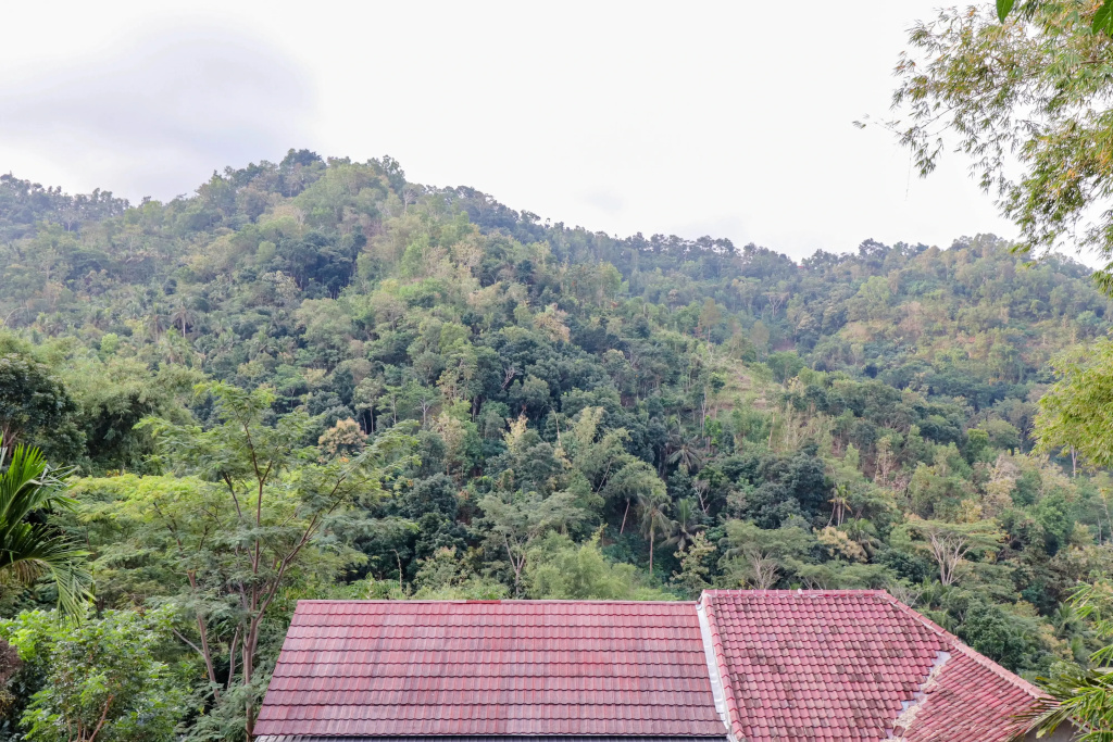 Munggang Homestay