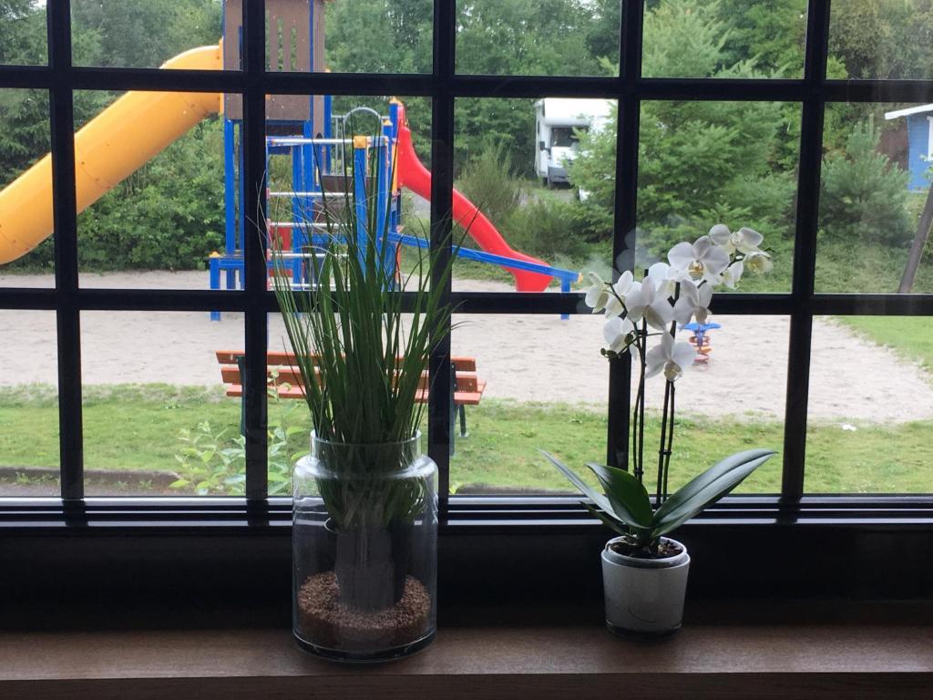 Image 13