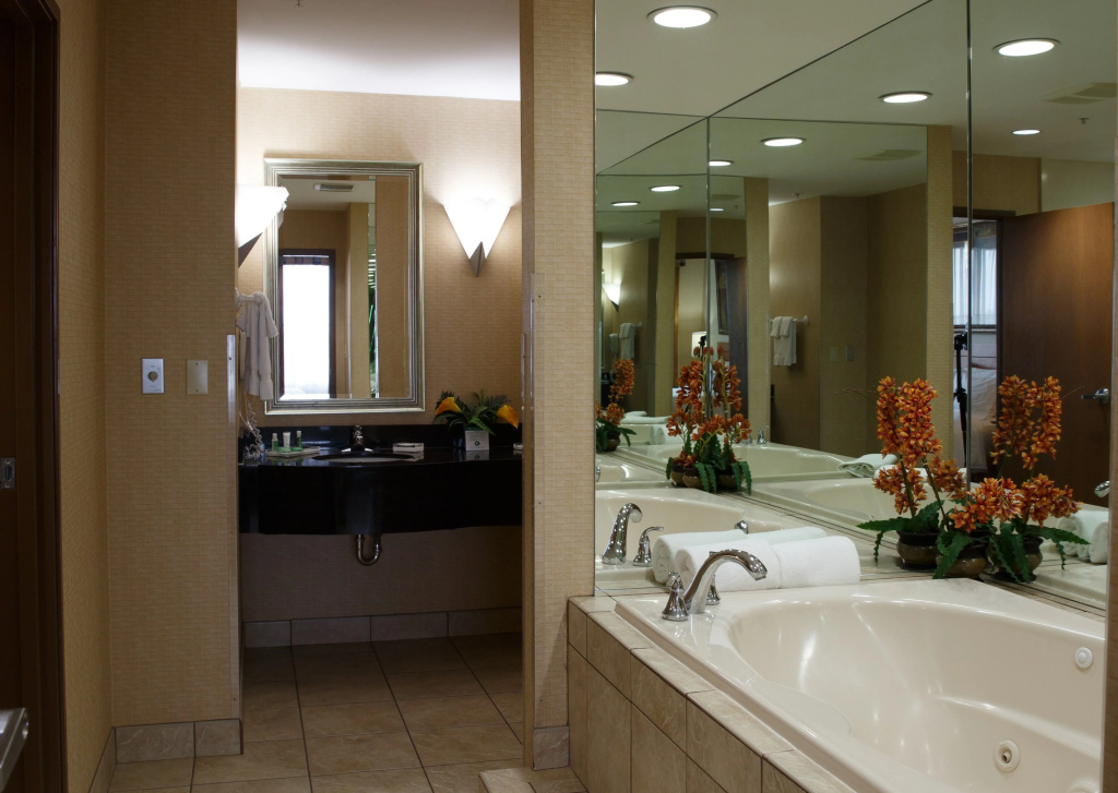 Holiday Inn Battle Creek by IHG - Général