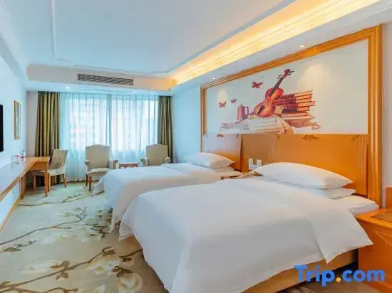 Business Double room (twin beds)