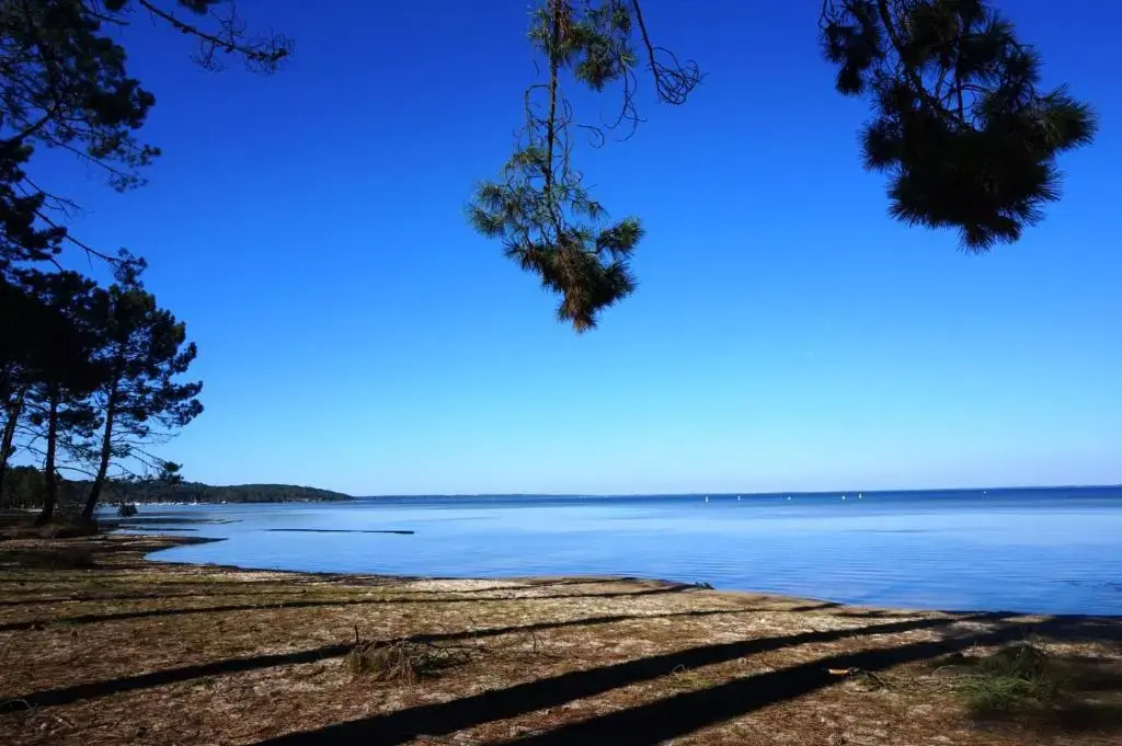 Beach & Waterfront