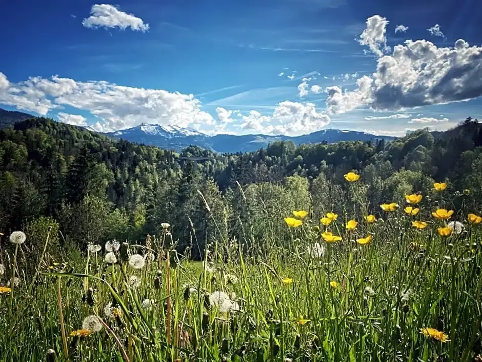 Wälderhof - Général
