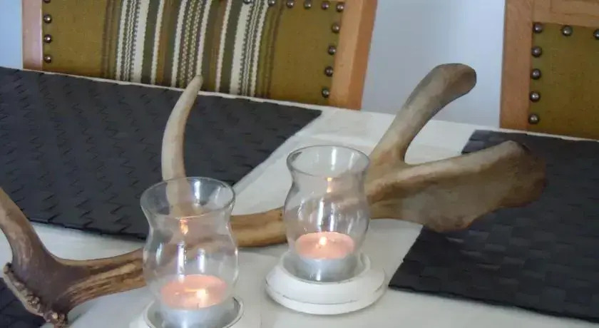 Wilderness Life in Arvidsjaur — фото 3