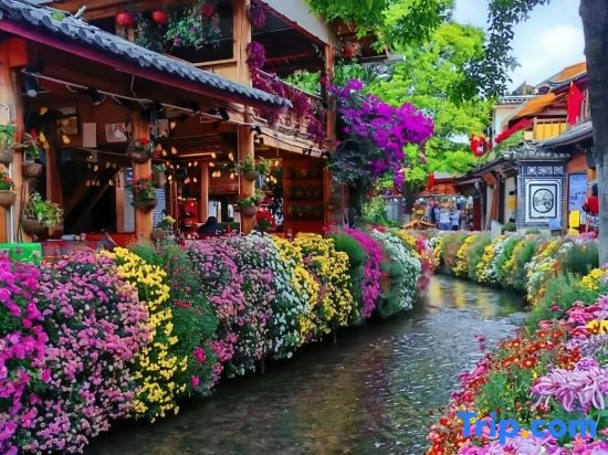 Wenyuange·Retro Floriculture New Concept Life Beauty