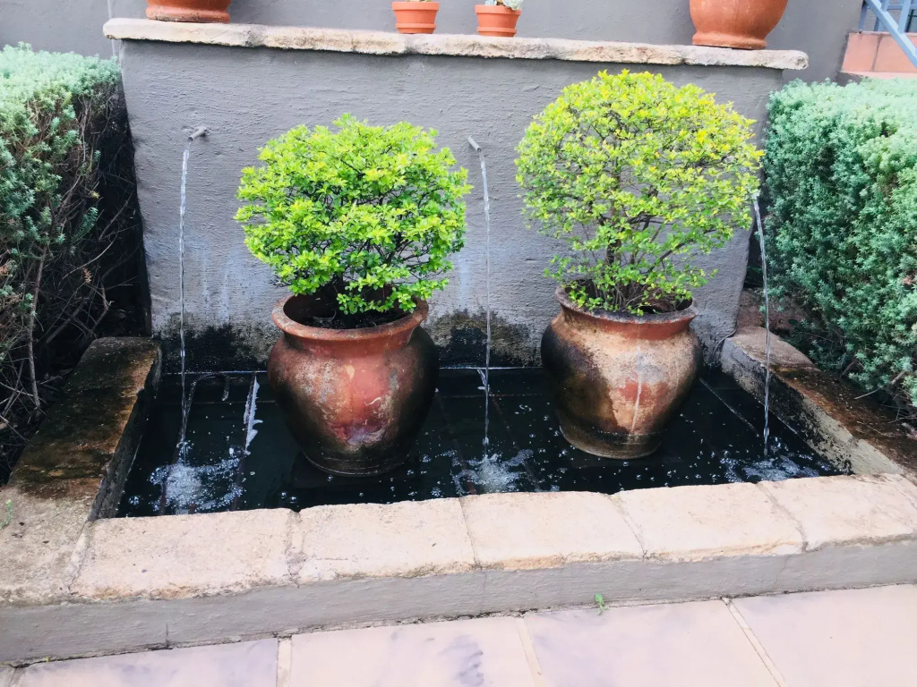 Montpellier Guesthouse