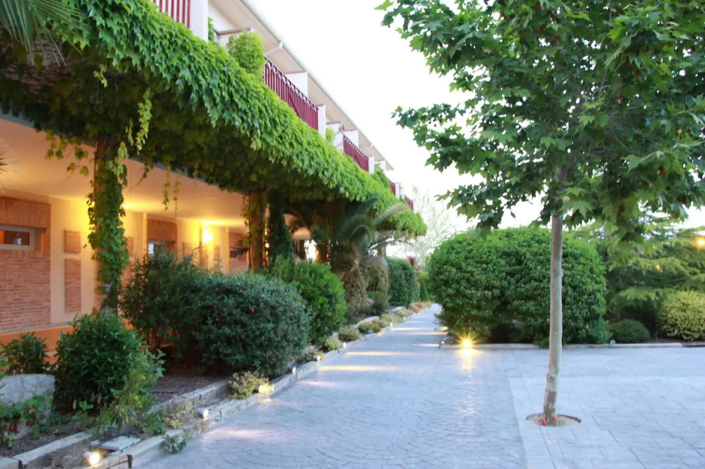 Hotel photo 13