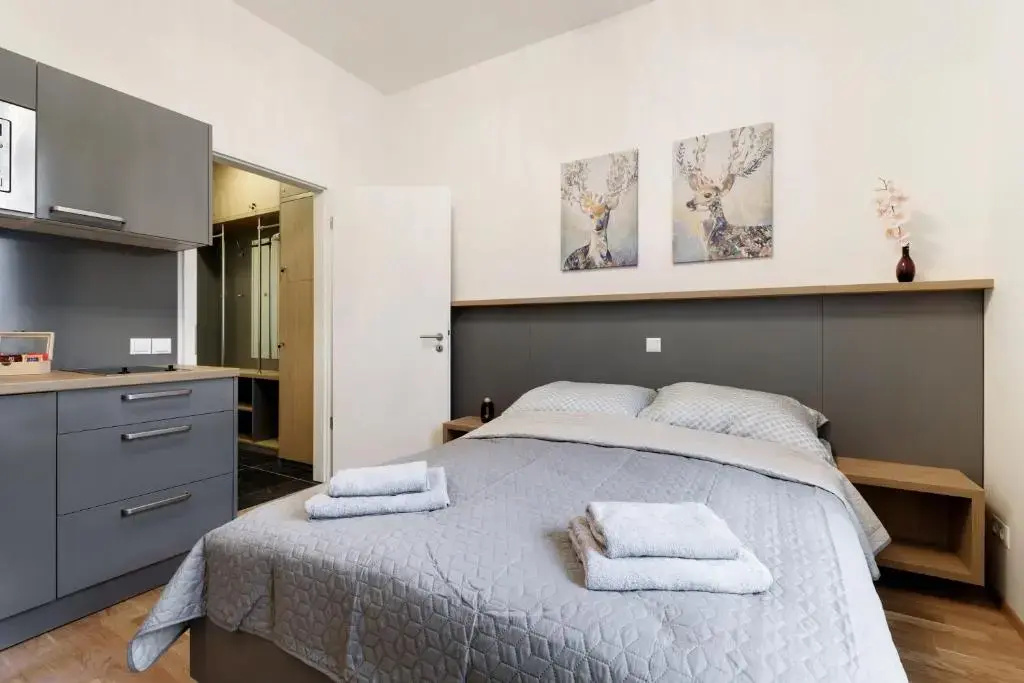 Deluxe Double room (full double bed)