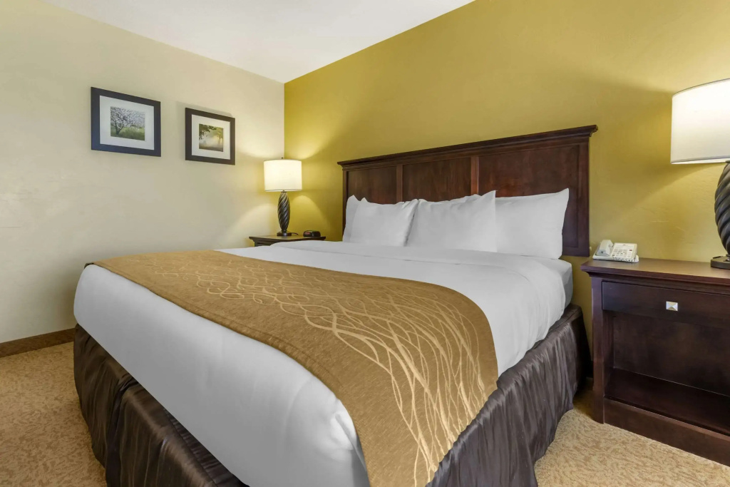 Comfort Inn & Suites Dover - Chambres