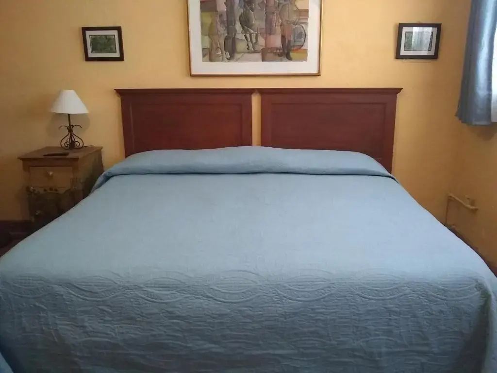 Deluxe Double room (full double bed)
