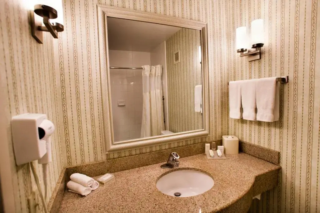 Hilton Garden Inn Chicago / Oak Brook - Chambres