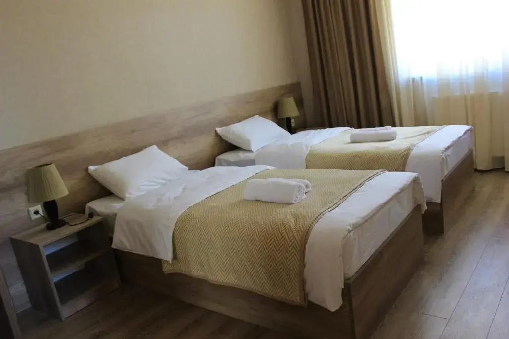 Standard Double room (twin beds)