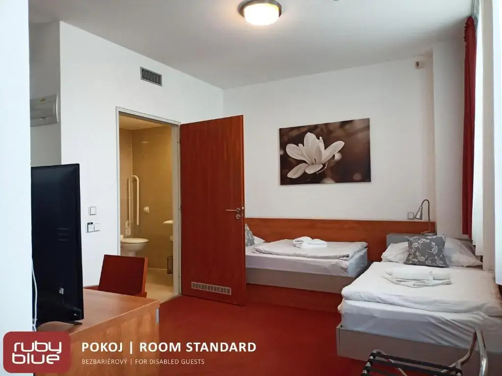 Standard Double room (full double bed)