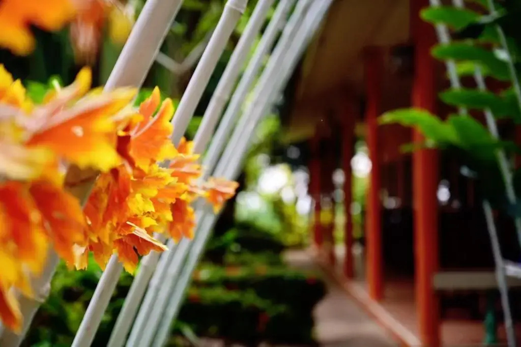 Mon Kiang-Dao Resort - Chambres