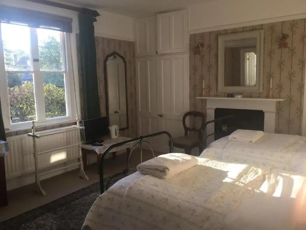 Deluxe Double room (twin beds)