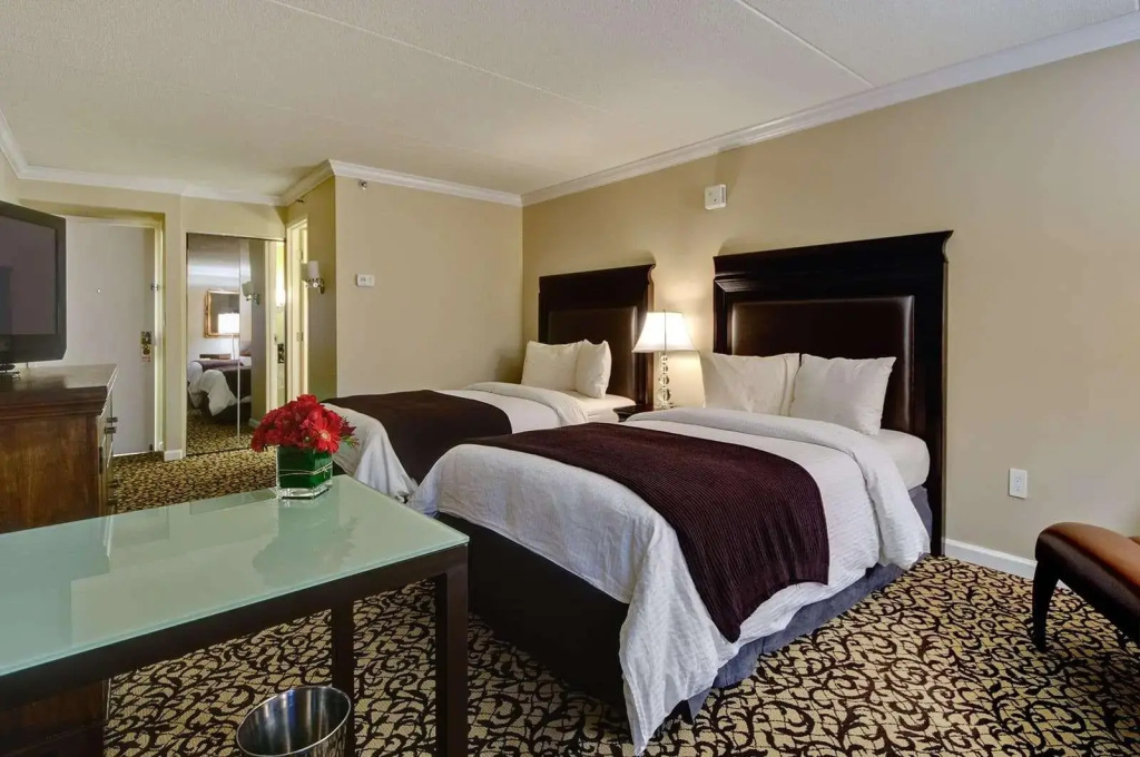 Bella Vista Hotel & Suites - Chambres