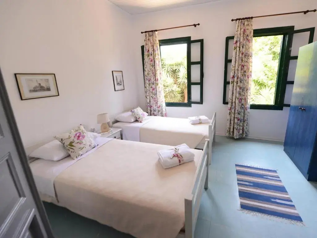 Superior Double room (twin beds)
