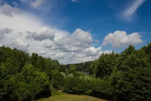 Falk Seehotel Stuersche Hintermühle - Général