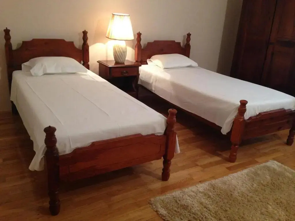 Standard Double room with balcony (twin beds)