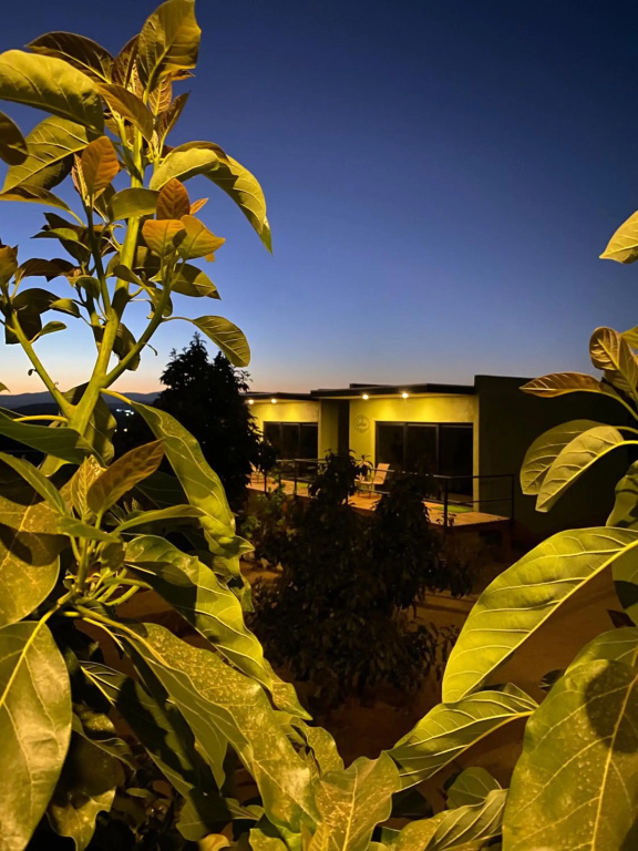 Hotel photo 38
