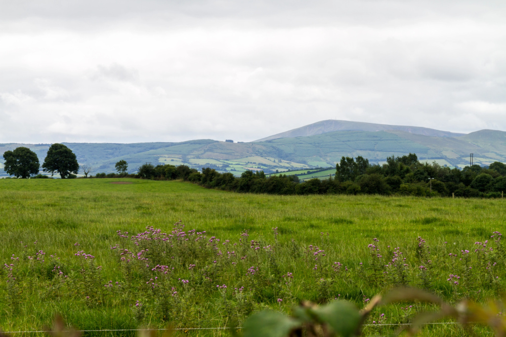 Abbey View B&B