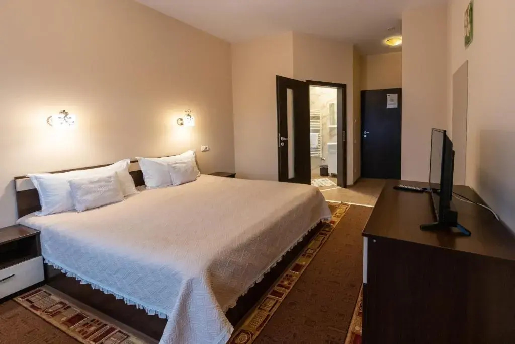 Standard Double room with mountain view (full double bed)