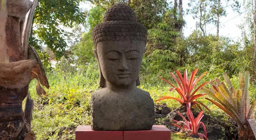 Hawaiian Asian Temple House