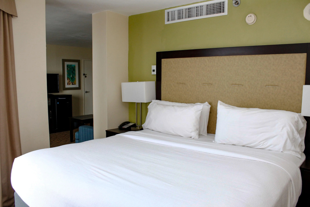 Holiday Inn Corpus Christi Downtown Marina by IHG - Général