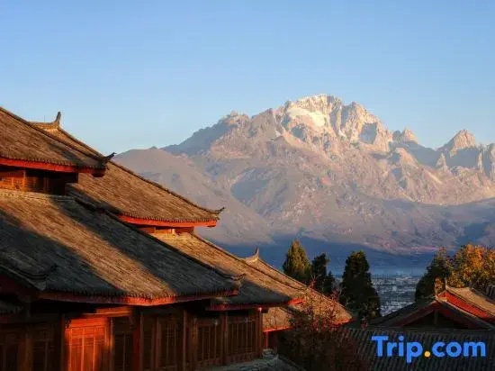 Ananas Valas Mulanjing • Garden Lishe Space Rizhao Jinshan Homestay (Lijiang Ancient City Branch)