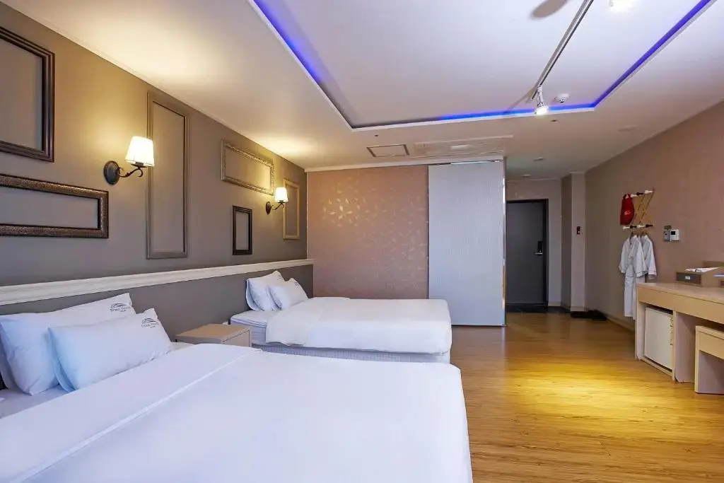 Deluxe Double room (twin beds)